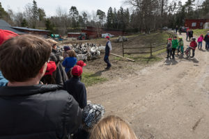 Så Framtiden på Sörbro gård.